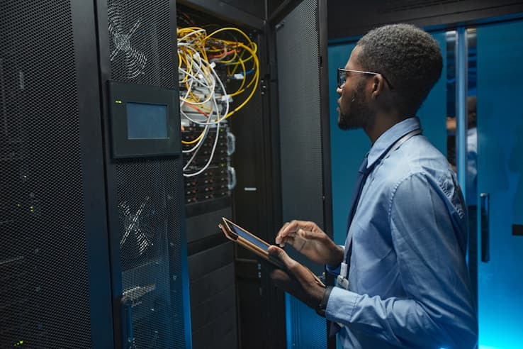 IT Professionals